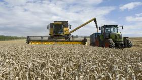 Экспортную пошлину на пшеницу из РФ снизят до 4 794,7 рубля